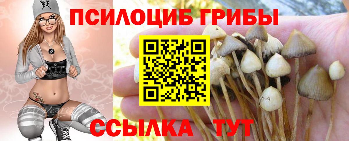 Псилоцибиновые грибы мухоморы  Вход с VPN  Кушва 